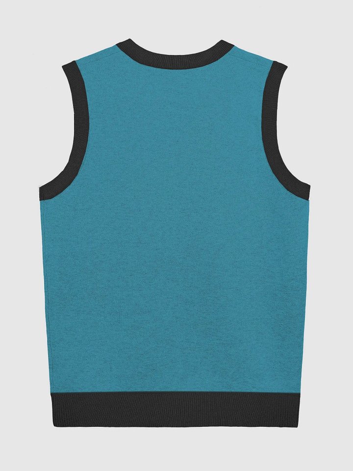 MikkiBoom Blue Knitted Vest product image (9)