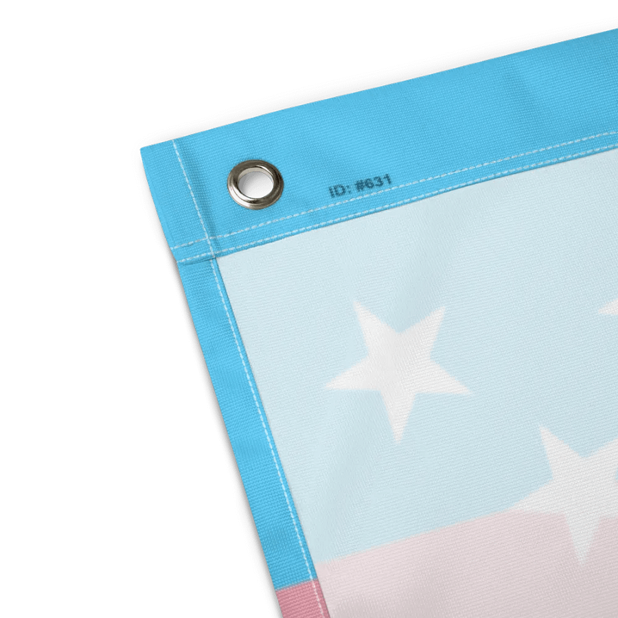 USA Trans Pride Flag product image (4)