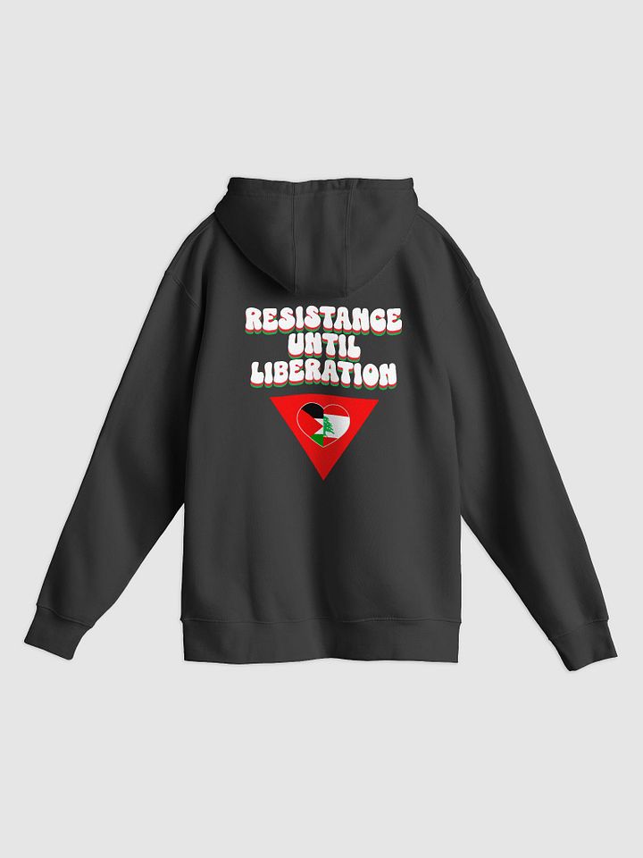 Resist Hoodie product image (2)