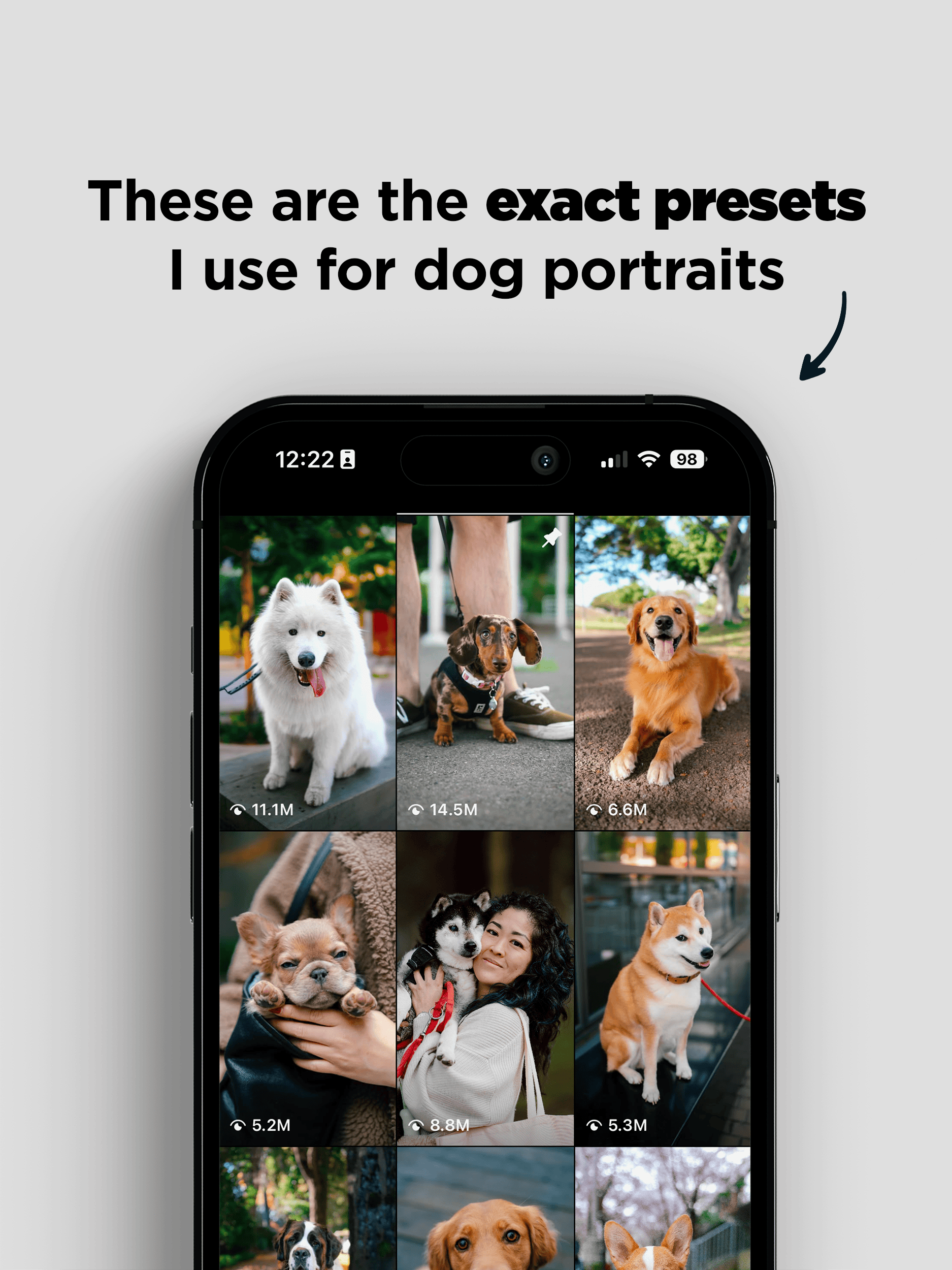 Pawtrait Presets product image (2)