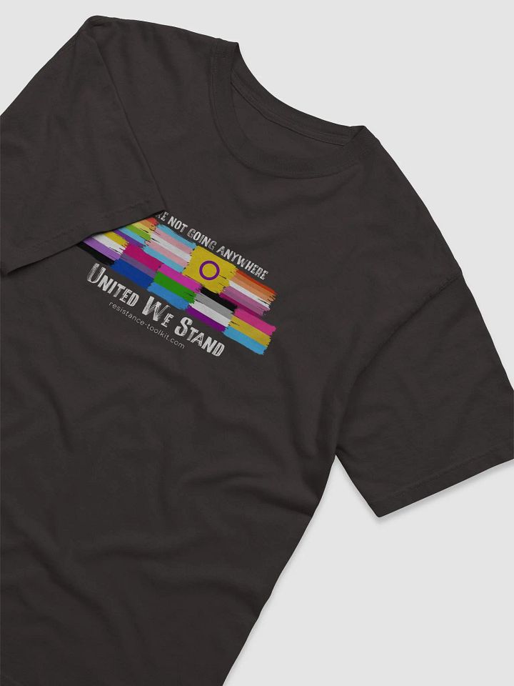 United We Stand product image (2)