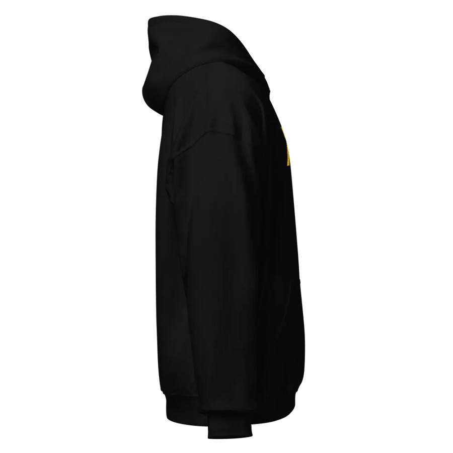 X Hoddie product image (3)