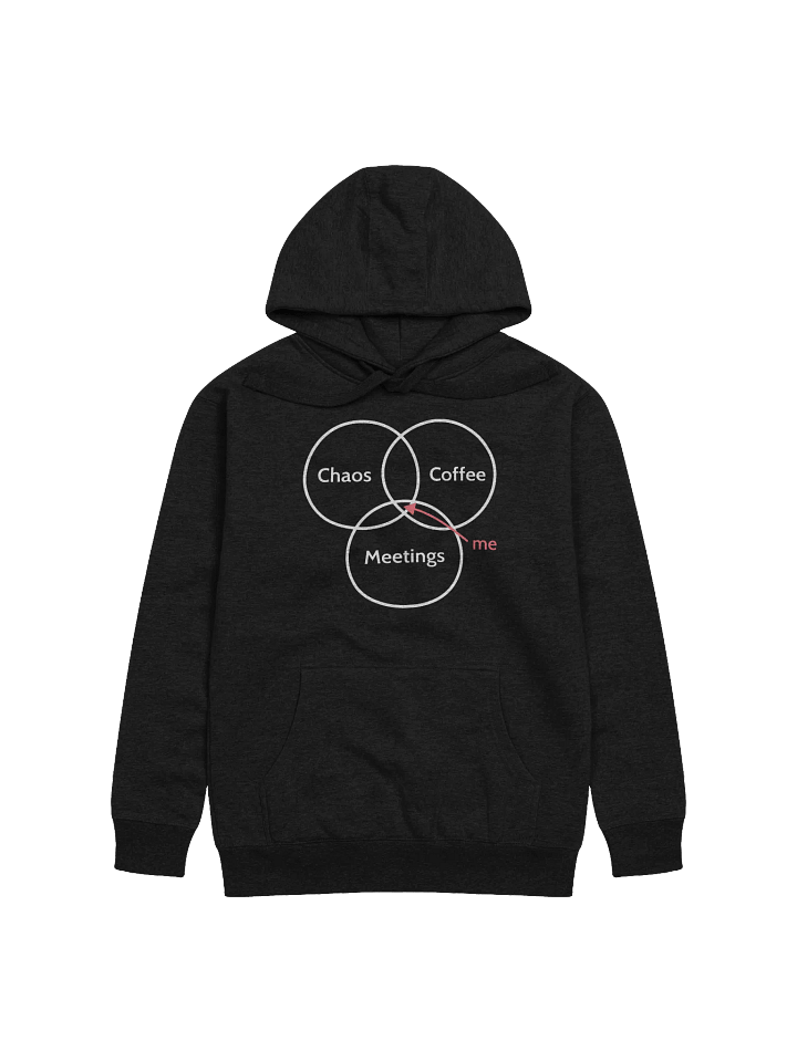 Unisex Hoodie: True PM Venn diagram product image (1)