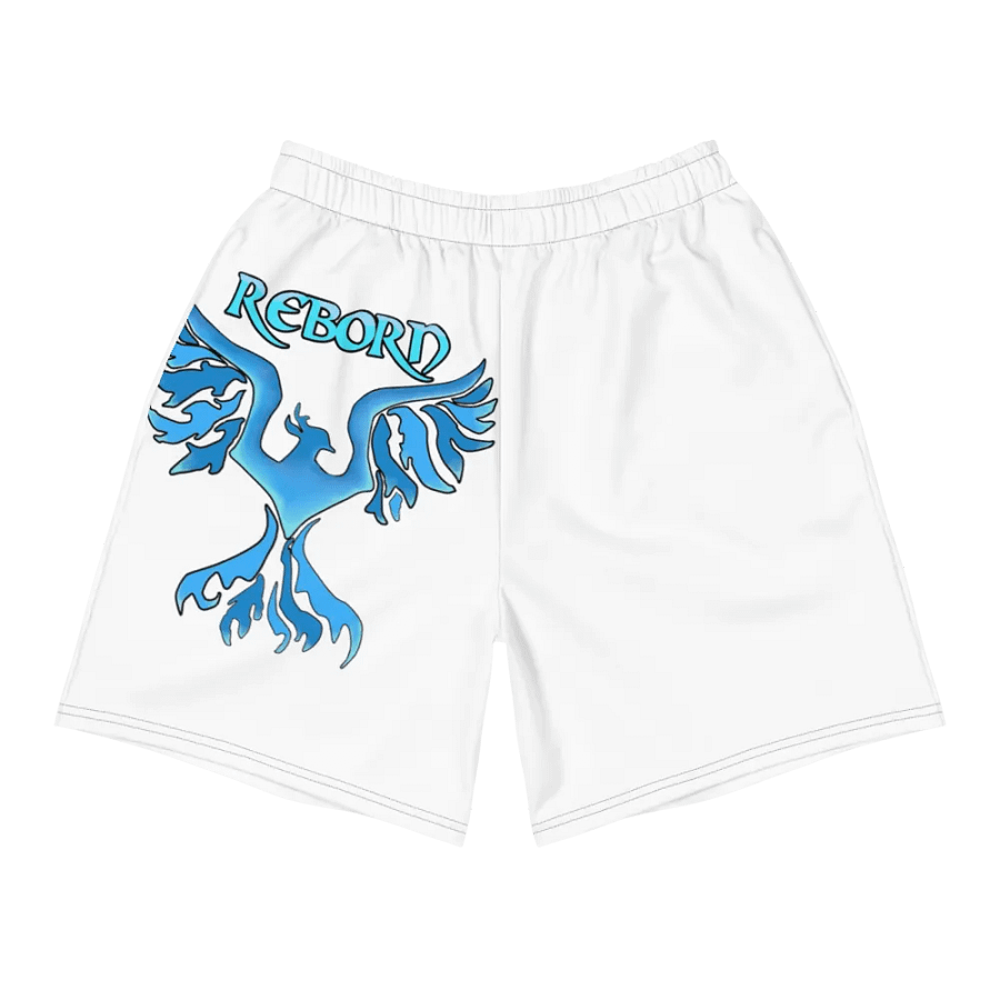 Ice Reborn phoenix product image (11)