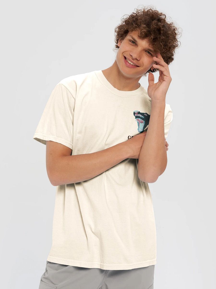 S.E.Y.T. shirt 2 product image (6)