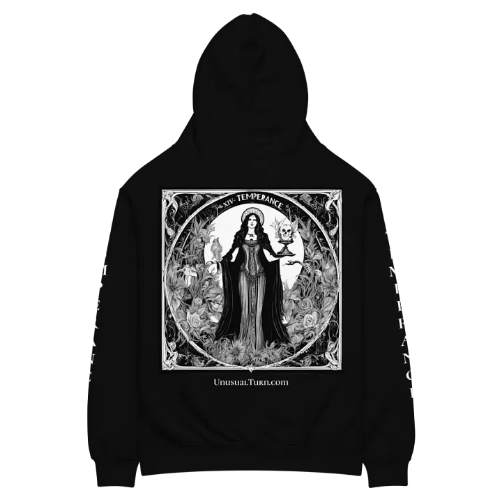 14 - Temperance Oversized Hoodie product image (2)