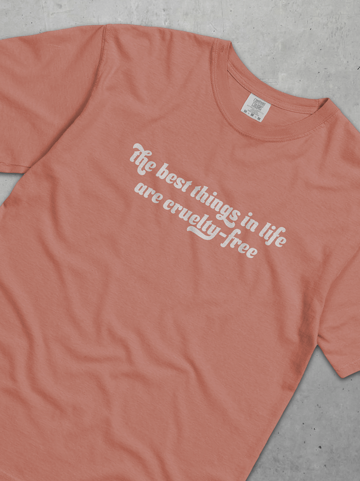 The Best Things In Life Tee product image (2)