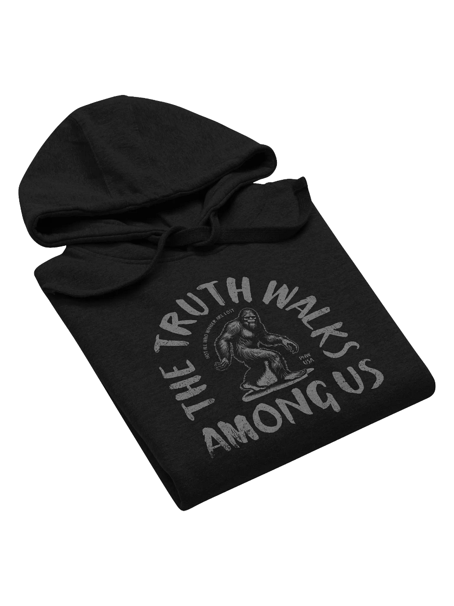 The Truth Walks Among Us Hoodie product image (5)