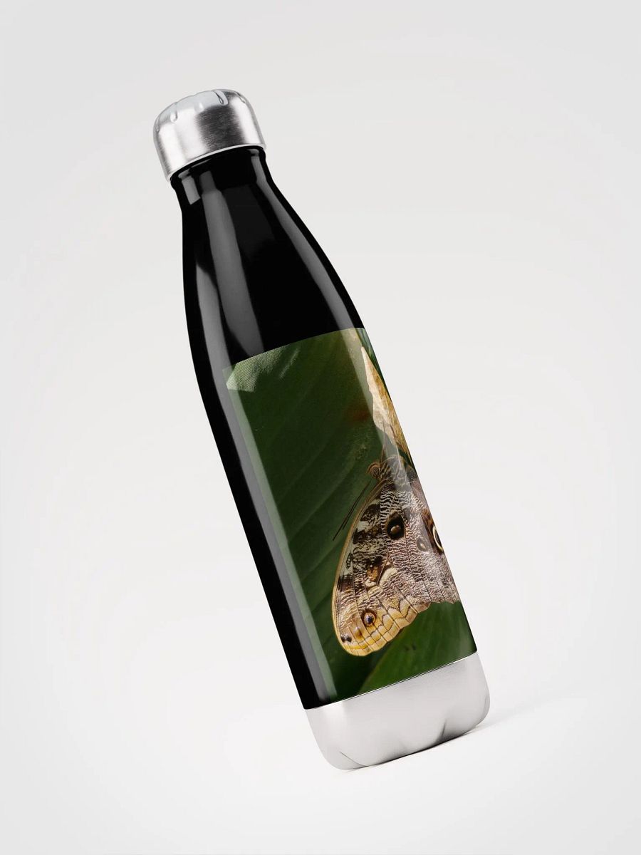 Tropical Owl Butterfly Stainless Steel Water Bottle product image (4)