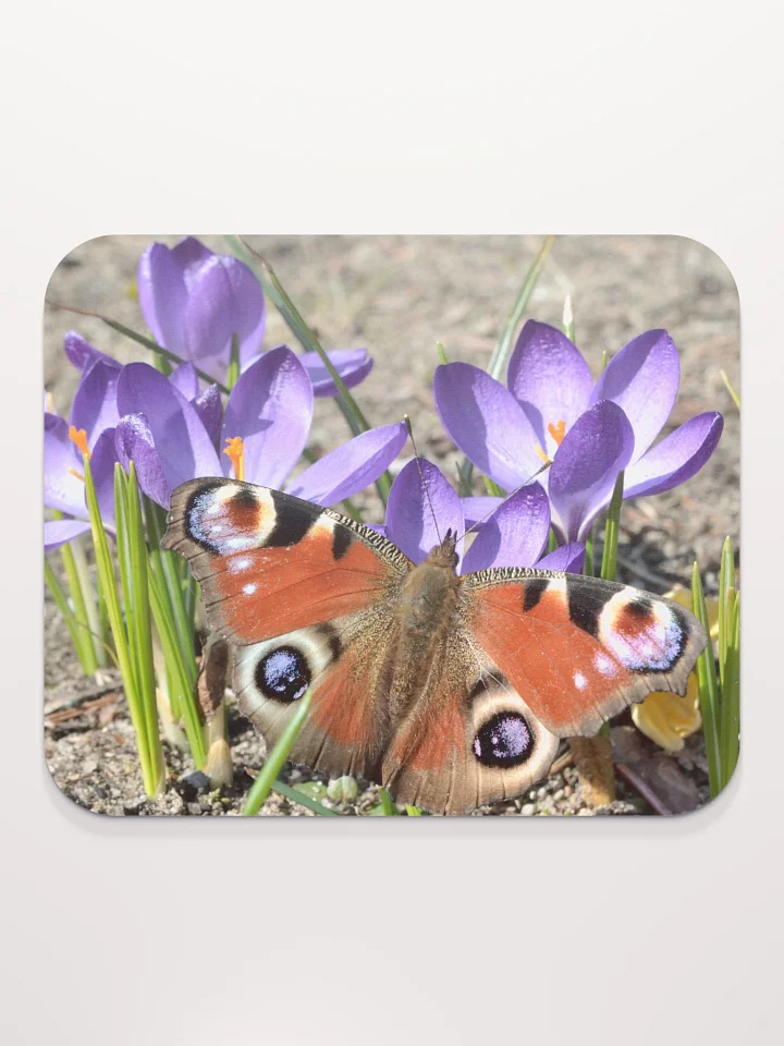 Mauspad - Schmetterling auf Krokusblüten product image (2)
