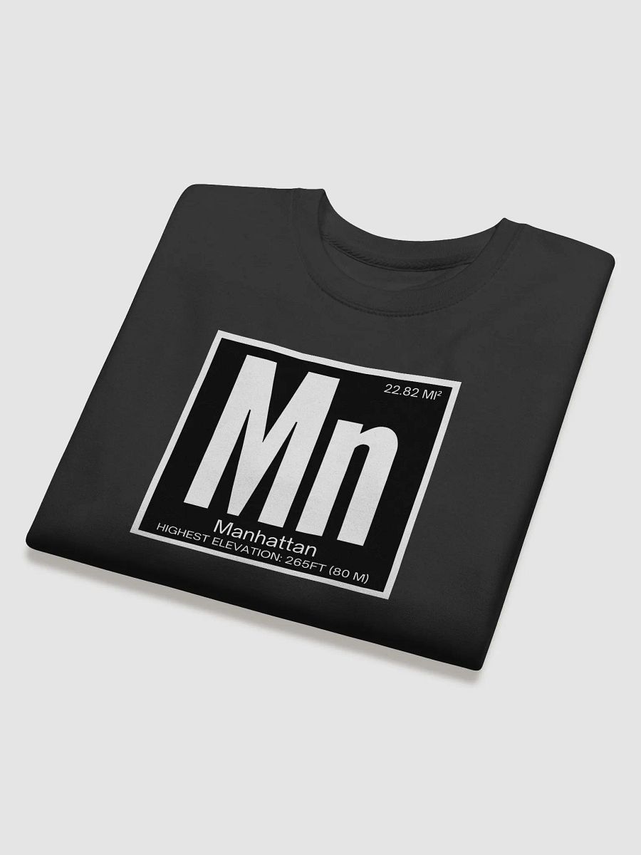 Manhattan Element : Sweatshirt product image (2)