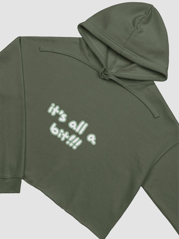 “It’s all a bit!!!” (lined design, #96B697) fleece cropped hoodie product image (13)