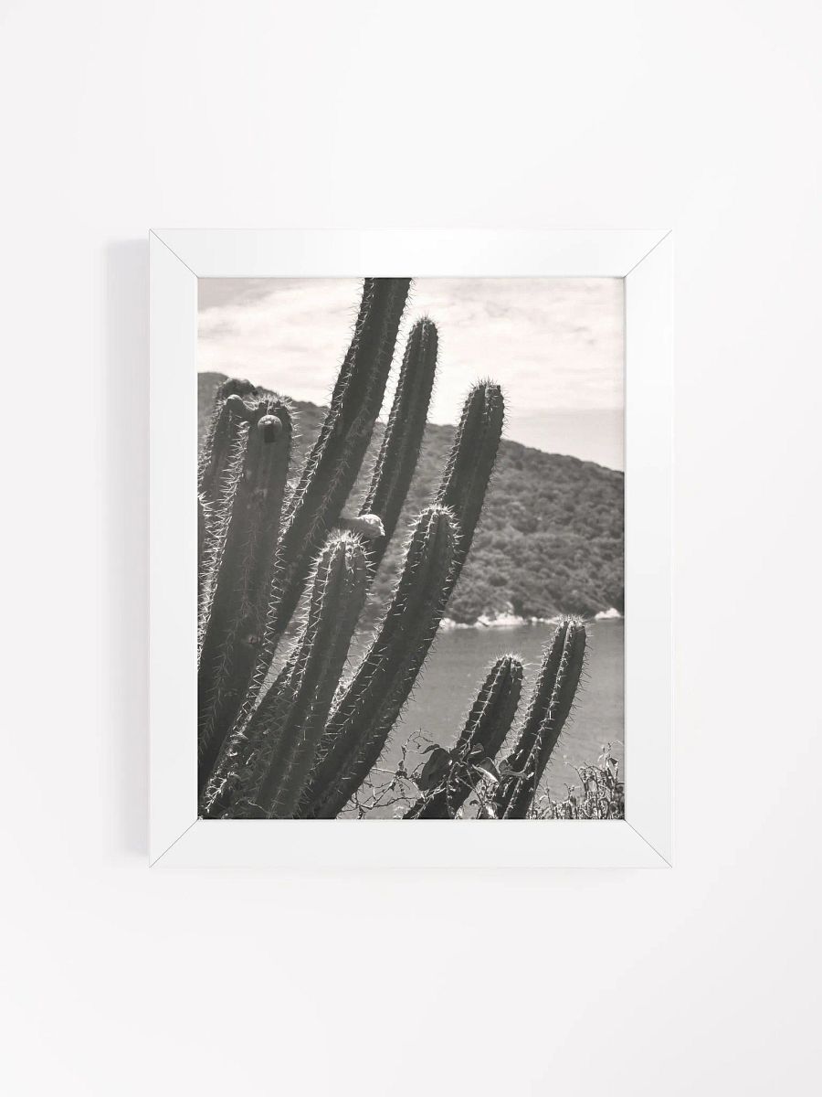 Mexico Lindo - Framed High-Quality Matte Poster product image (4)