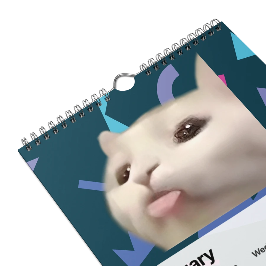 Wall Calendar (2024): Meme Cats product image (9)