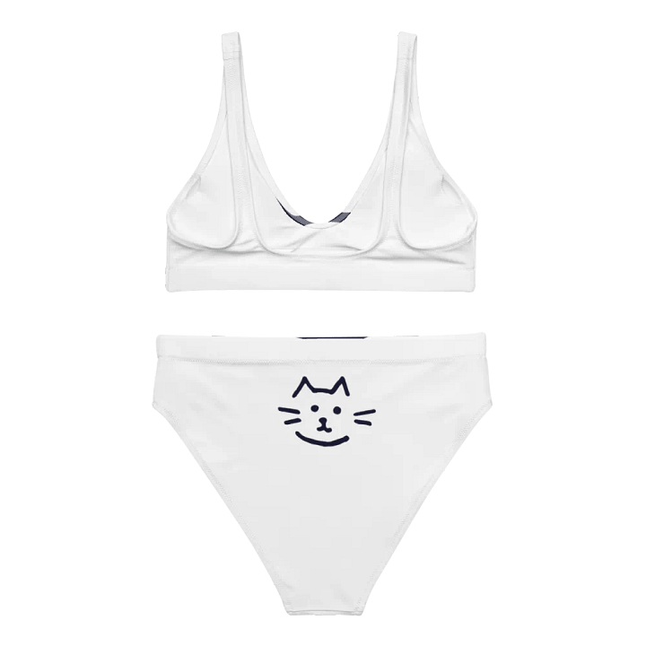 All-Over Print Recycled High Waisted Bikini product image (2)