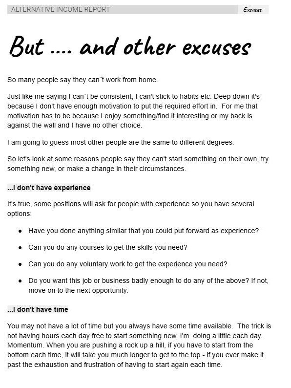 Alternative Income Report - 165 pages of inspiration for flexible income! product image (3)