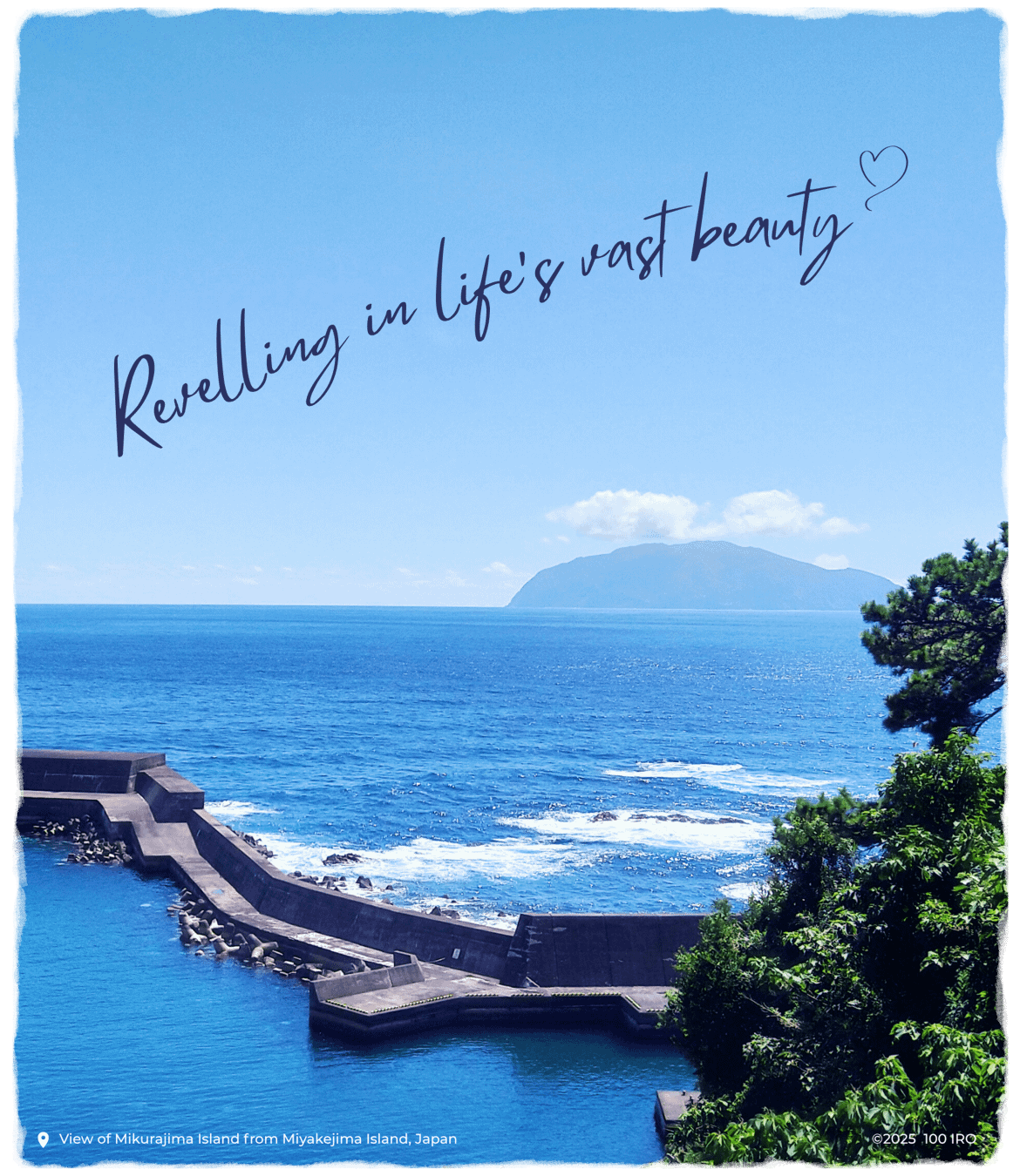 Revelling in Life's Vast Beauty (Unisex Tee) product image (2)