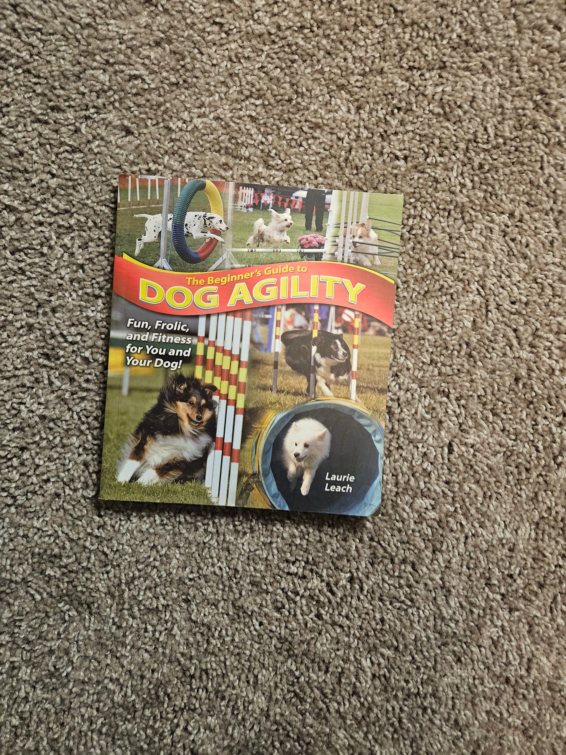 Dog Books and Big Magic product image (2)