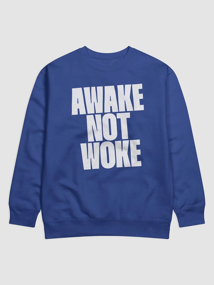 AWAKE NOT WOKE Premium Sweatshirt product image (29)