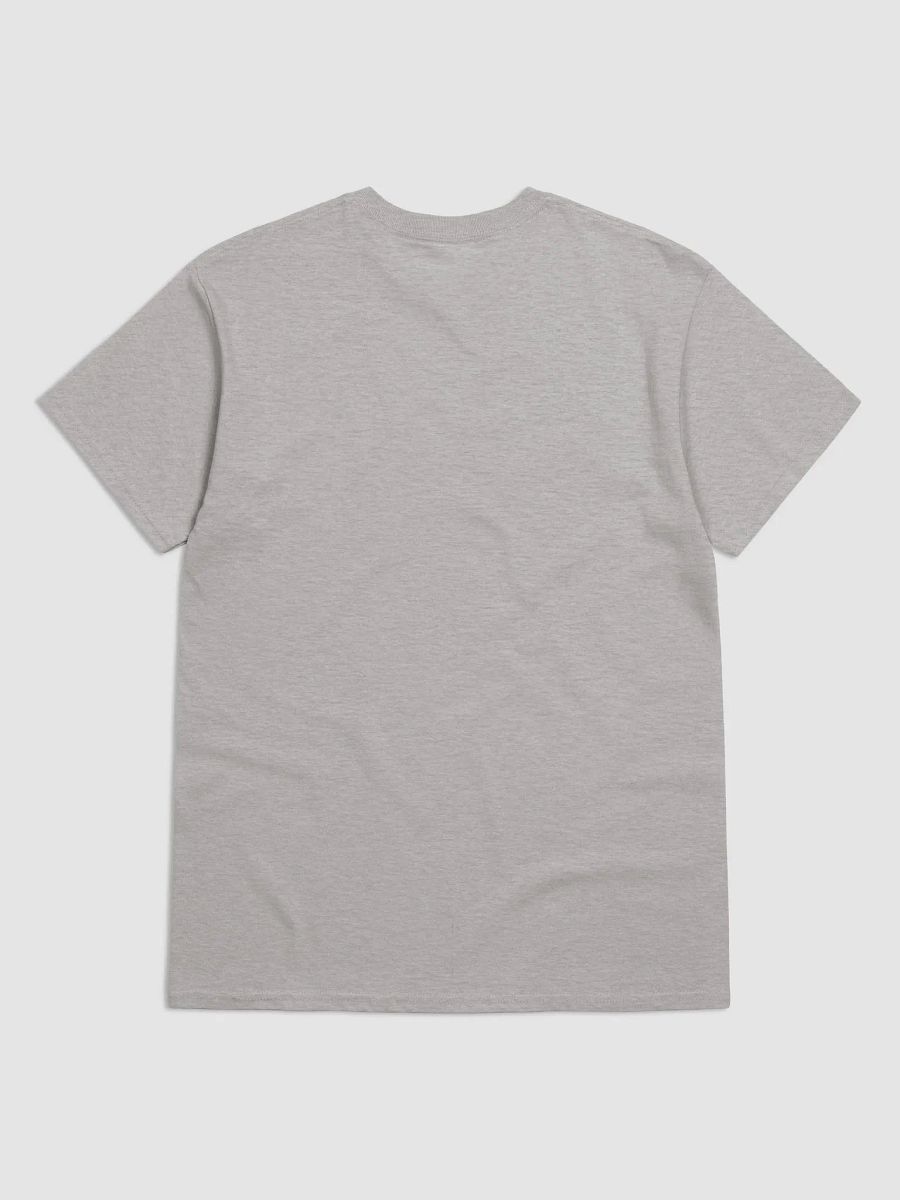 Streetwise Classic: Gildan Heavyweight Tee product image (2)