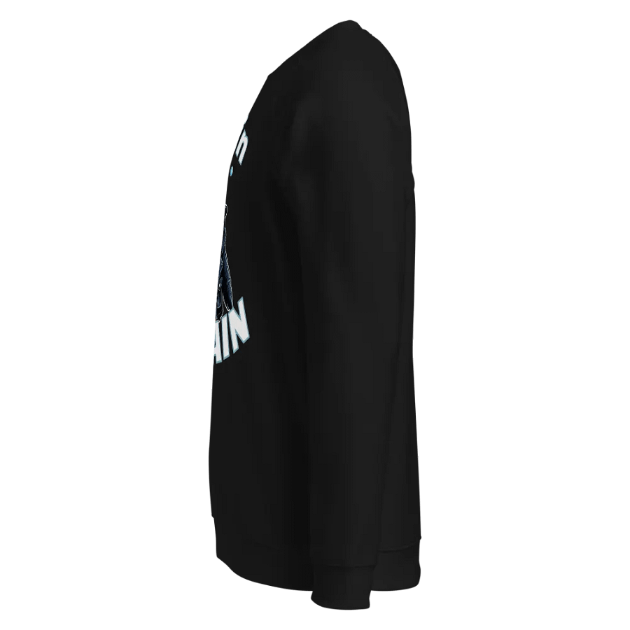 Chillin' Like a Villain Penguin Raglan Sweatshirt product image (5)