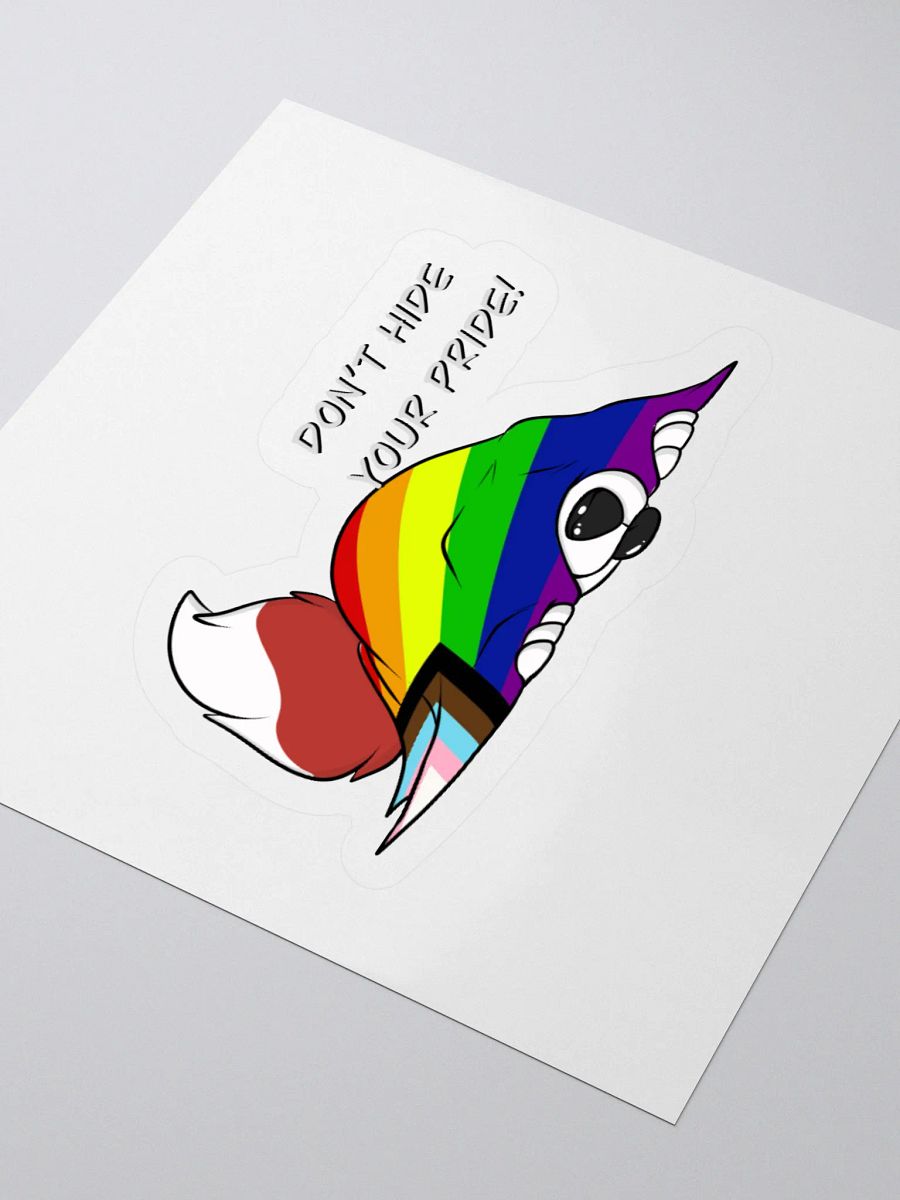 Dont Hide YOUR PRIDE product image (9)
