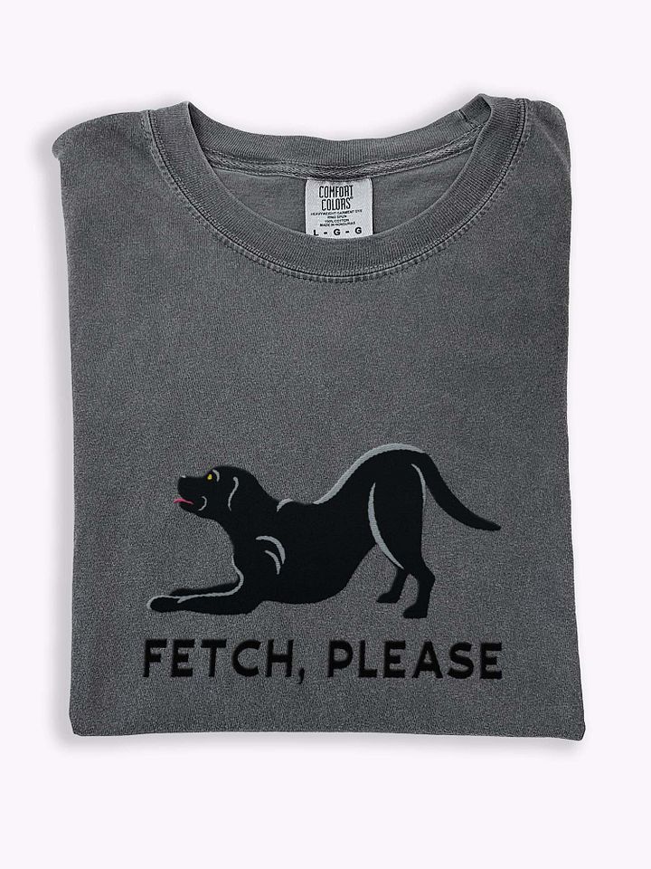 Fetch Please T-Shirt(Embroidered) of a Labrador Retriever(Black) product image (46)