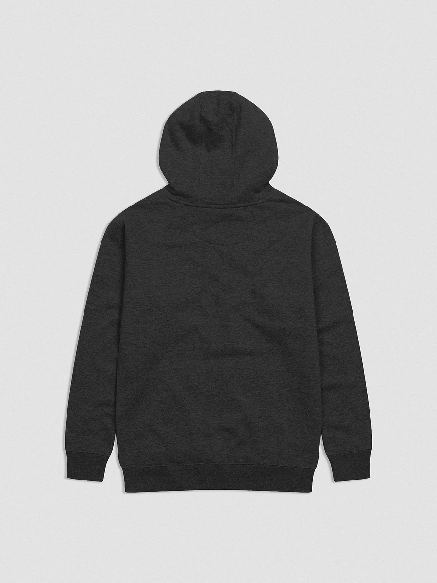 Frame Embroidered Hoodie product image (2)