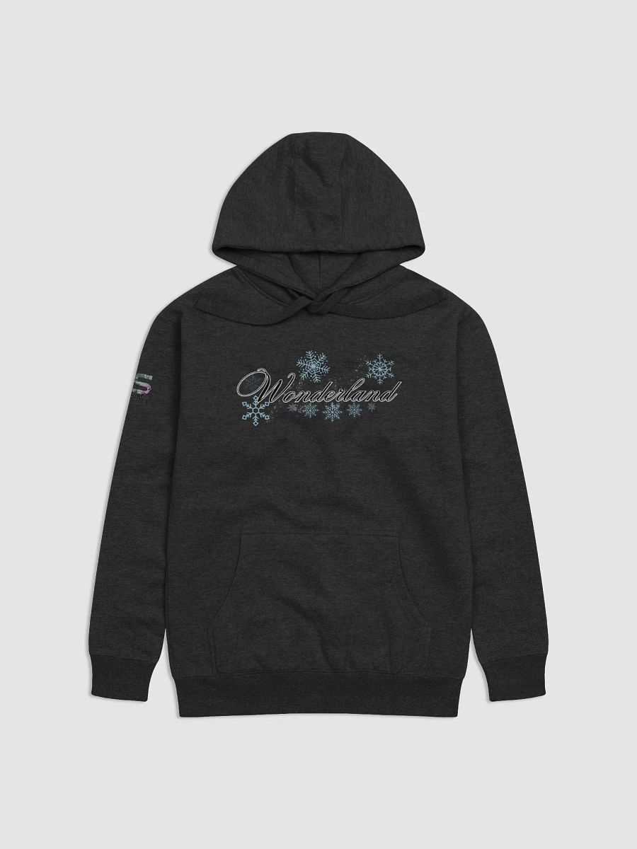Wonderland Winter Hoodie product image (2)