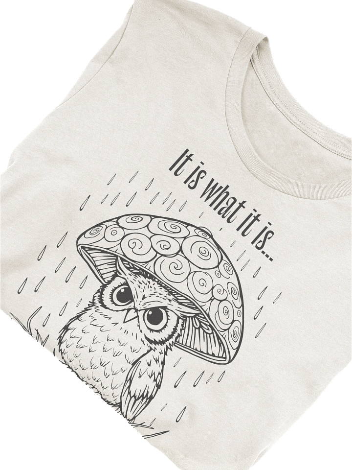Funny owl shirt, It Is What It Is Owl Shirt, sarcastic tshirt, grumpy bird shirt product image (2)