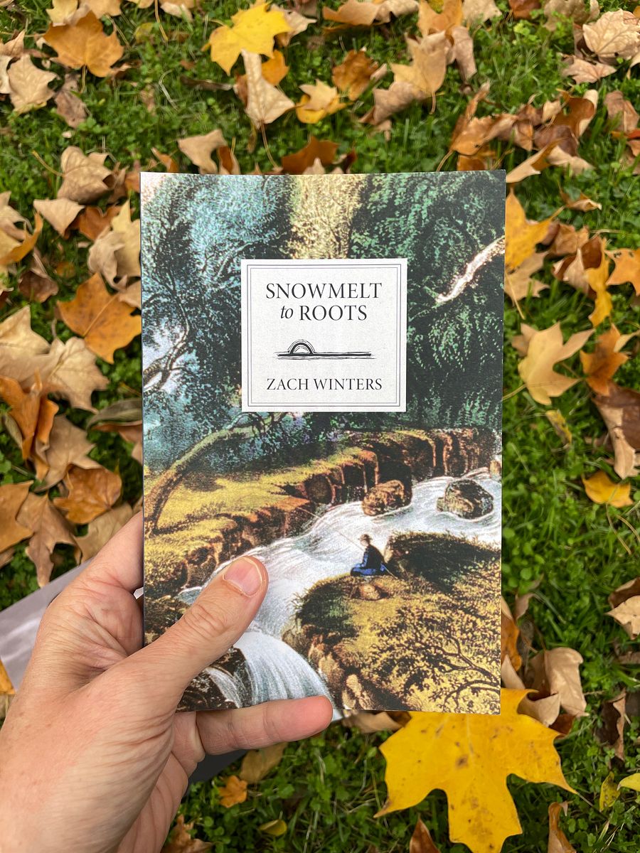 Snowmelt to Roots (poetry book) product image (2)