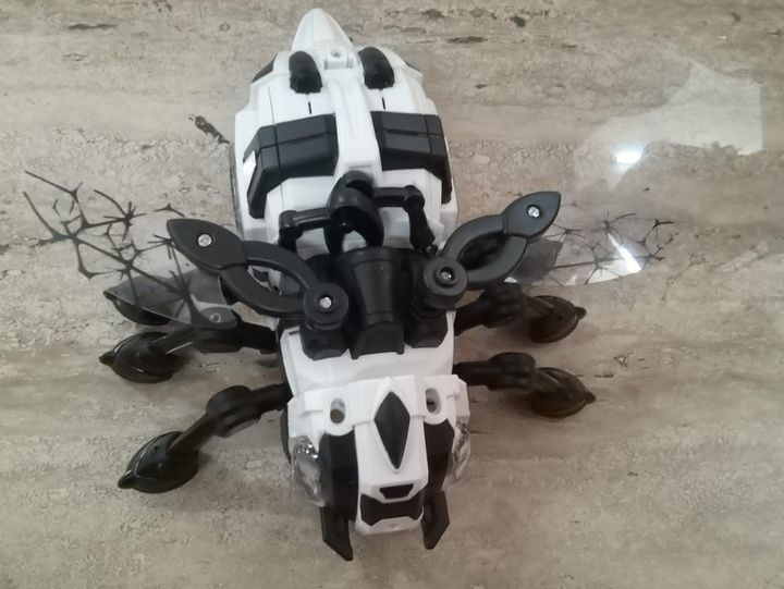 INSECT BEES TOY product image (1)
