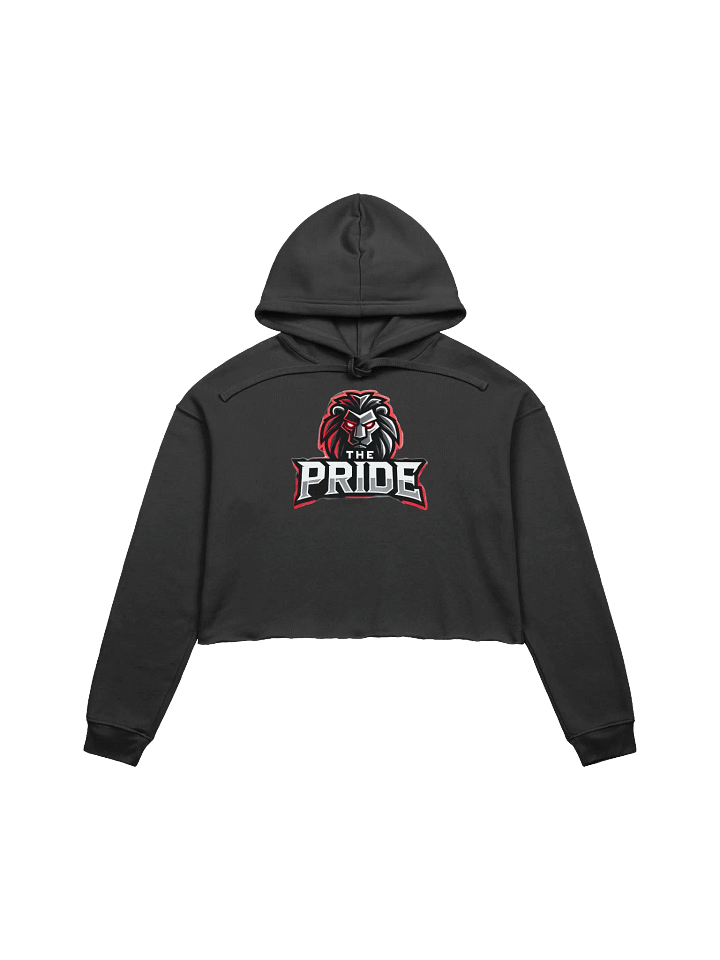 The Pride Women's Fleece top hoodie product image (2)