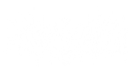 TOXYKALI