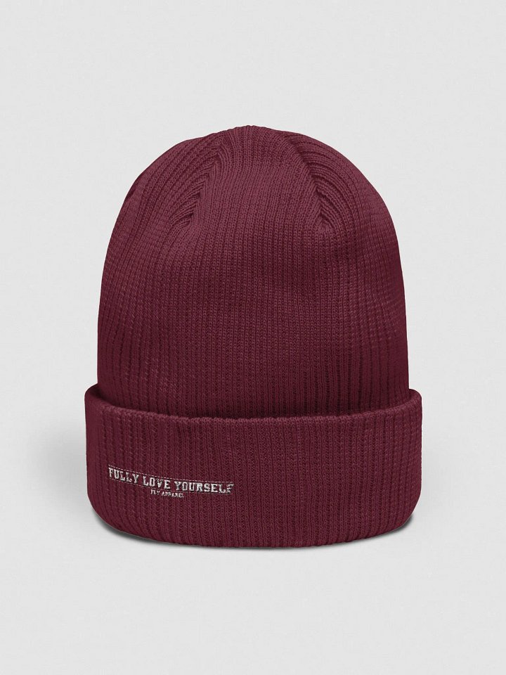 F.L.Y. Beanie product image (2)