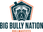 Big Bully Nation