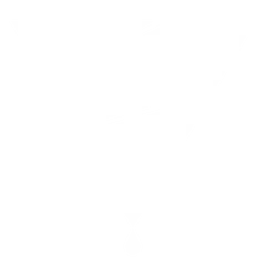 Stagnant Concepts