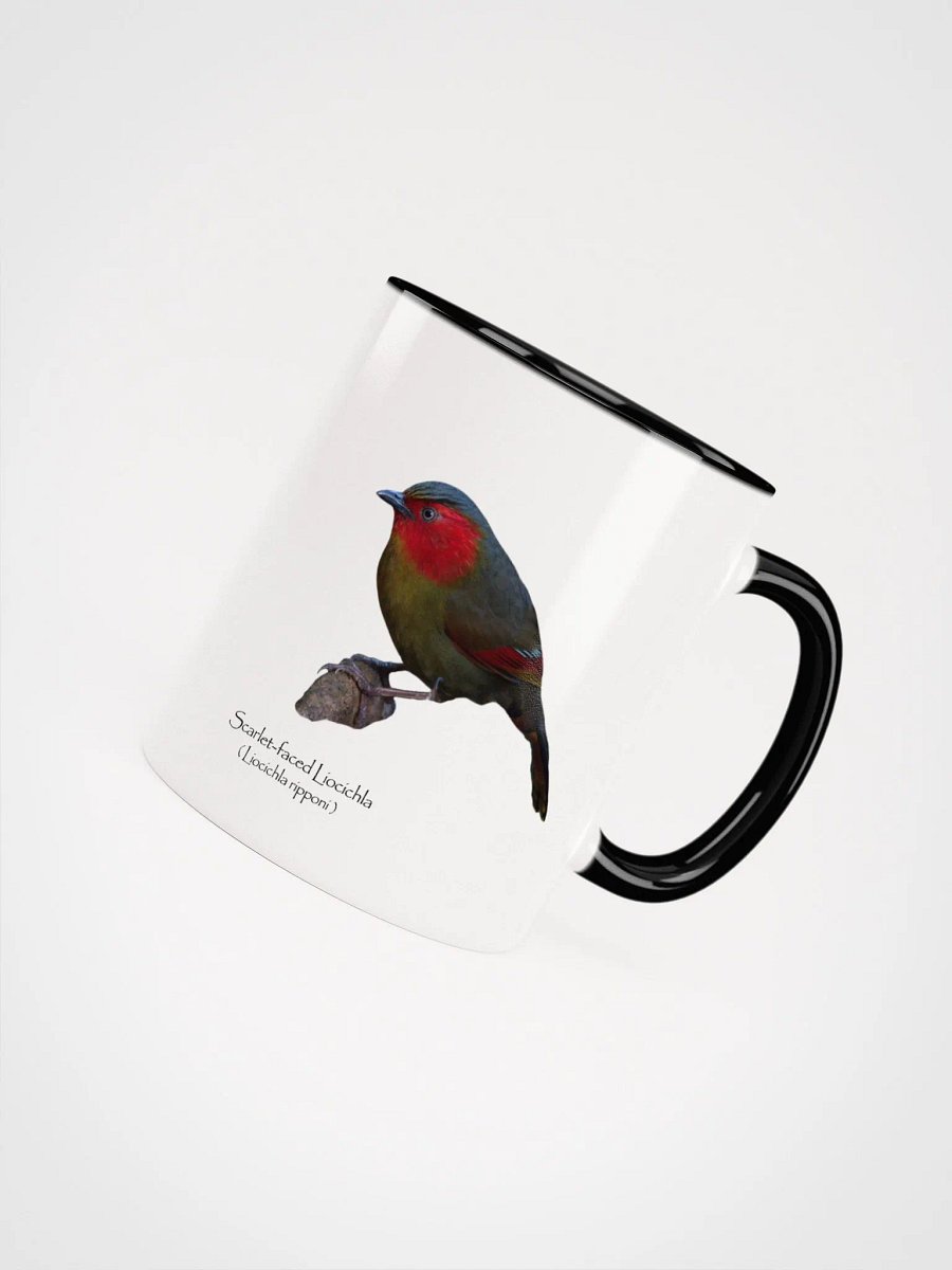 Scarlet-faced Liocichla mug product image (32)