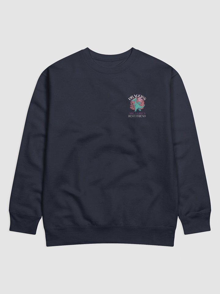 Dragons Are A Girl's Best Friend Dragon Girl Woman Friendship Sweater product image (1)