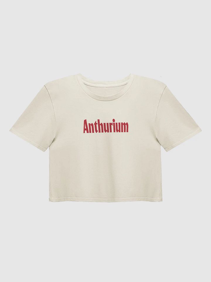 ⚡️ ANTHURIUM WORLD TOUR ⚡️ crop top product image (2)