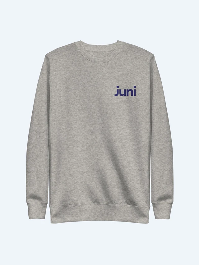 Juni Adult Crew Sweatshirt, Grey product image (1)