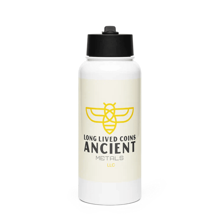 Stainless Steel Bee Bottle with flip up straw product image (1)