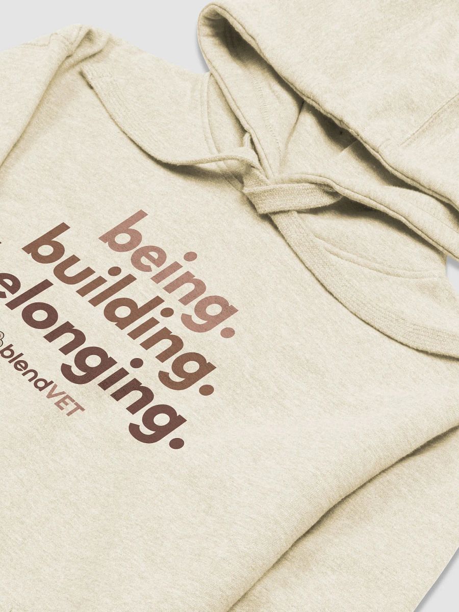 Being. Building. Belonging. Hoodie product image (3)