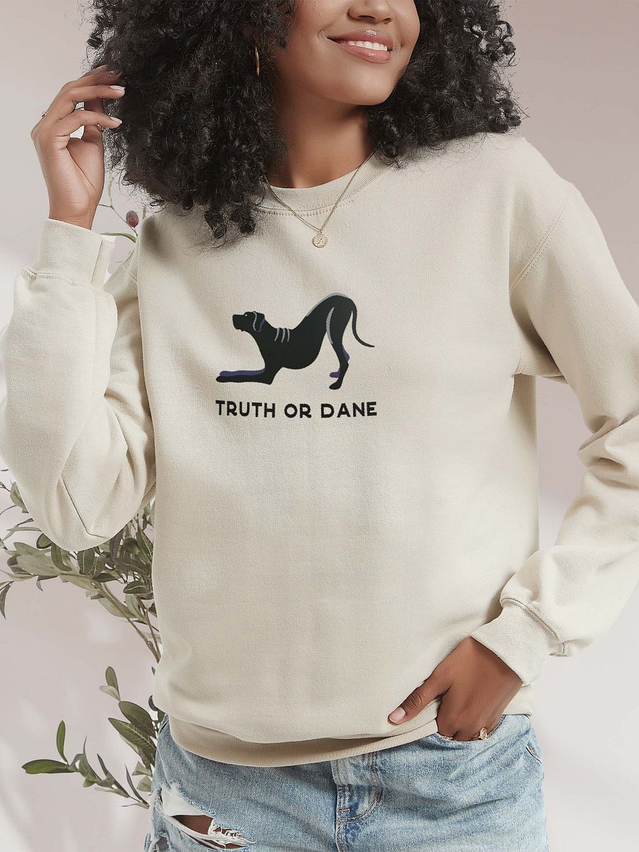 Truth or Dane Sweatshirt (Embroidered) of a Great Dane(Black) product image (2)