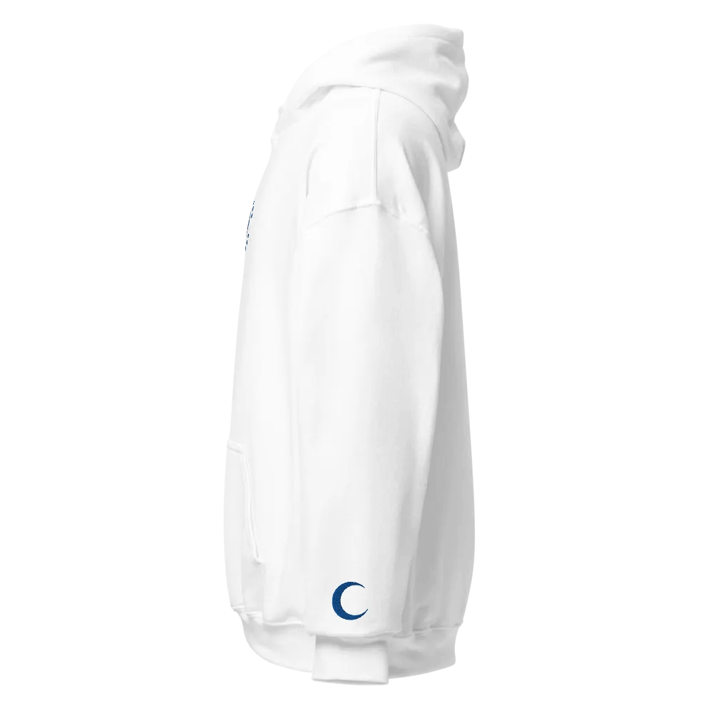 Embroidered "Malfunction" Hoodie product image (5)