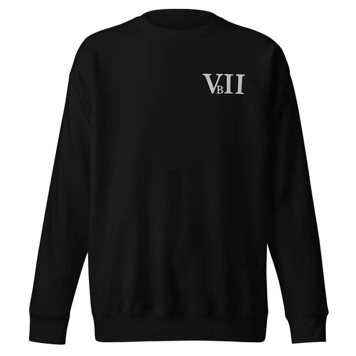 VBII Sweater product image (1)