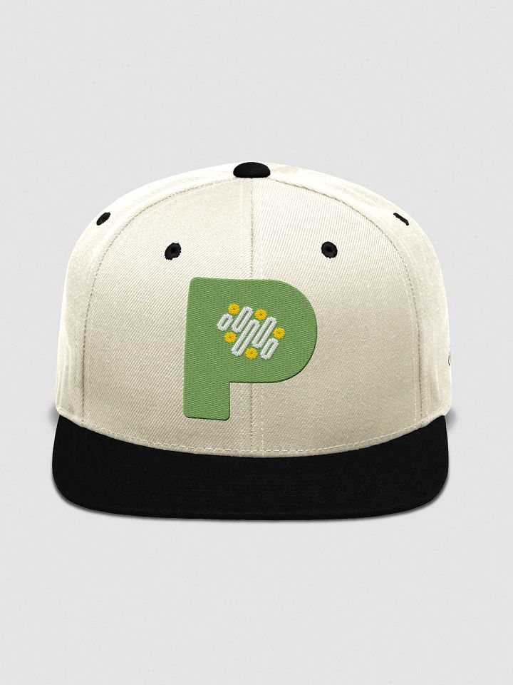 Pixmin Icon Snapback Cap product image (1)