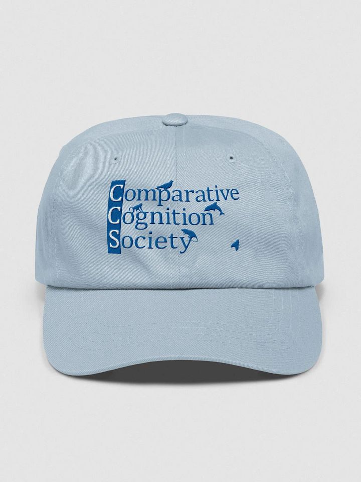 CCS baseball cap product image (1)