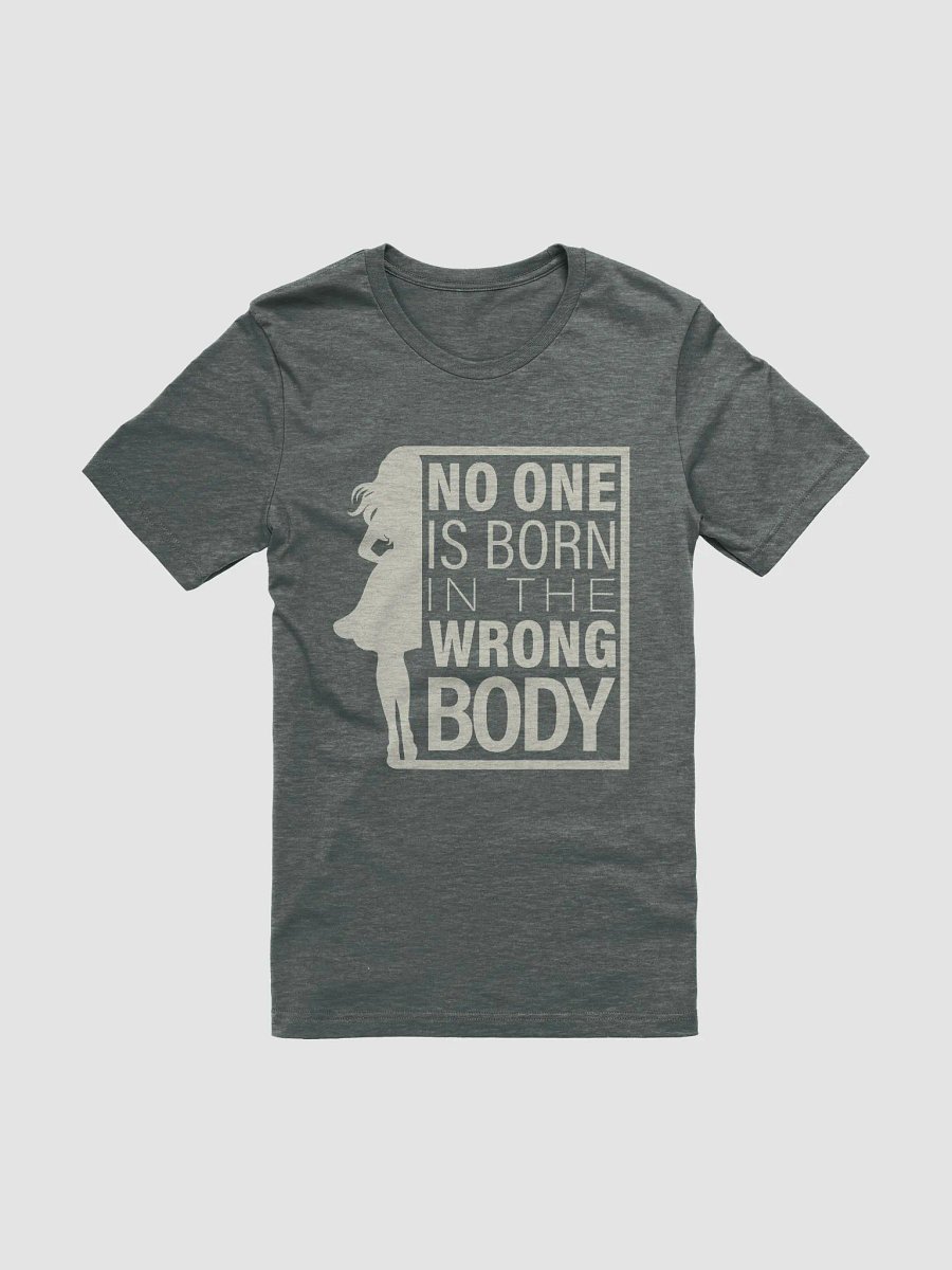 No One is Born in the Wrong Body - Positive Message Bella Canvas Tee product image (20)