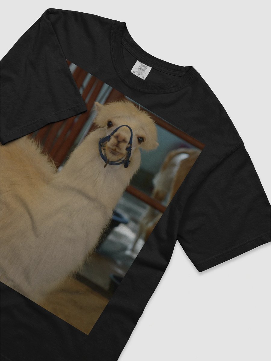 Zen Alpaca Comfort Tee product image (3)